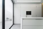 Arctic White