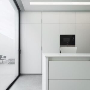 Arctic White
