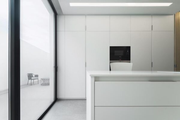 Arctic White